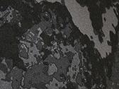 Poseidon Black
