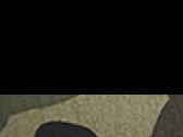 Black/Jungle Camo