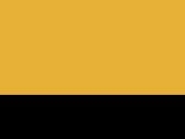 Gold/Black