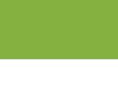 Lime Green/White