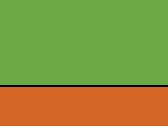 Real Green/Neon Orange