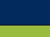 Navy/Neon Green
