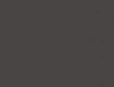 Shadow Grey