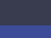 Navy/New Royal