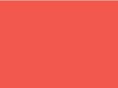 Bright Salmon