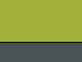 Keylime/Seal Grey
