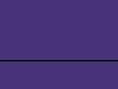 Purple/Purple