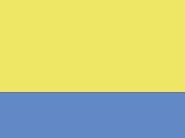 Yellow/Blue