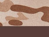 Arid/Brown