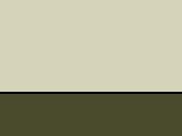 Stone/Olive