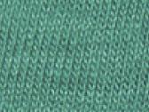 Sea Green Triblend