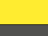 Yellow/Graphite Grey