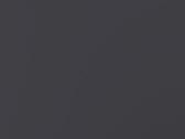 Charcoal Twill