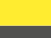 Yellow/Graphite Grey