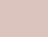 Fresh Pink