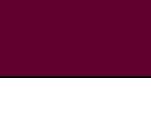 Burgundy/White