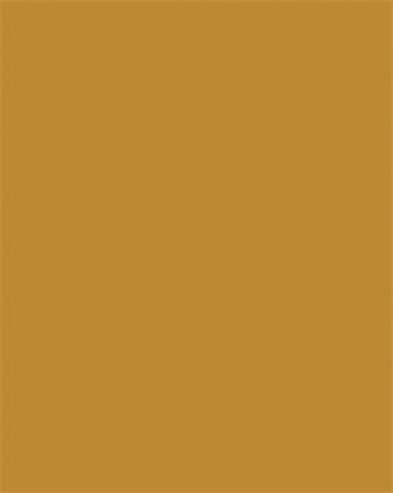 Farebný papier, A3, 130 g, 50 listov, FOLIA, terakota