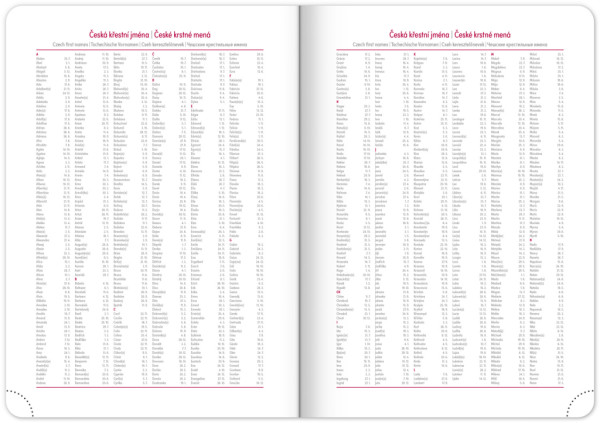 NOTIQUE Denný diár Ajax 2026, modrý, 15 x 21 cm 5