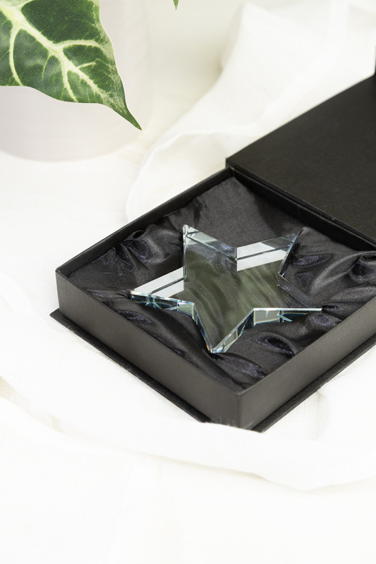 Crystar trofej s hviezdou 4