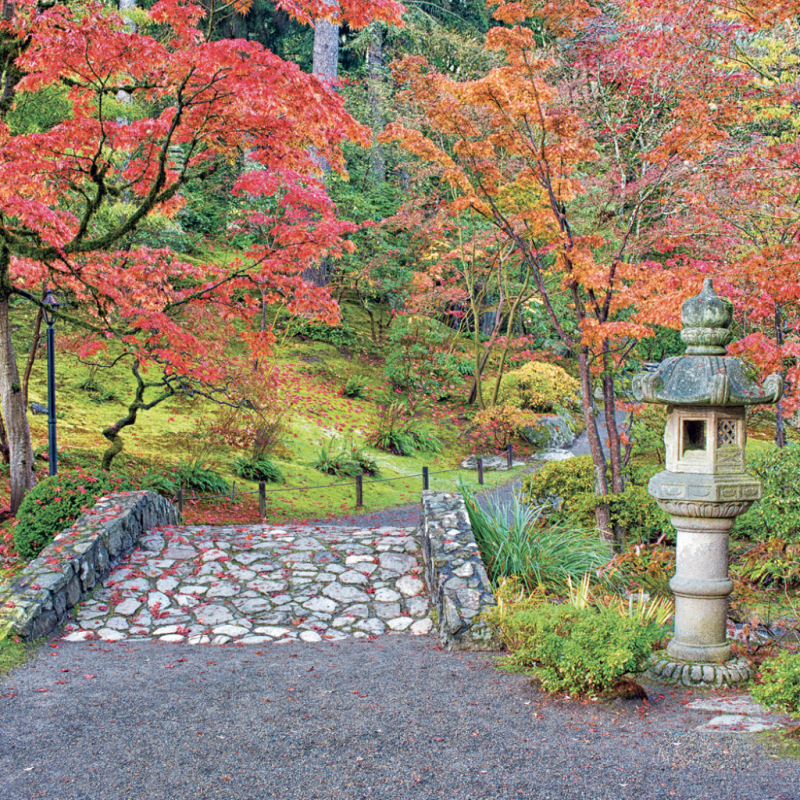 NOTIQUE Grid calendar Gardens 2027, 30 x 30 cm 12