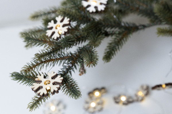 Polaris vianočná svetelná šnúra 5