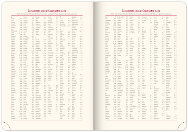 NOTIQUE Týždenný diár Diamante 2026, modrý, 15 x 21 cm 6