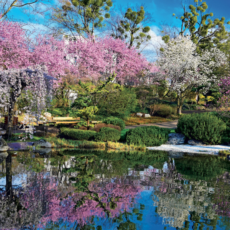 NOTIQUE Grid calendar Gardens 2027, 30 x 30 cm 6