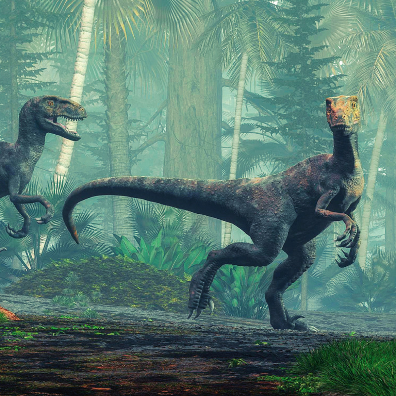 NOTIQUE Poznámkový kalendár Dinosaury 2027, 30 x 30 cm 6
