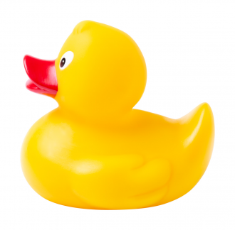 Koldy kačička 1
