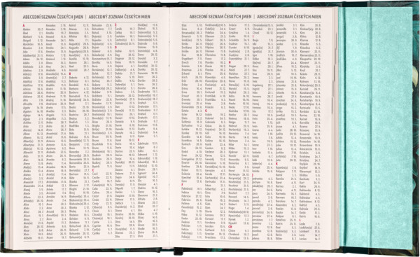 NOTIQUE Týždenný magnetický diár Monstera 2026, 11 x 16 cm 6