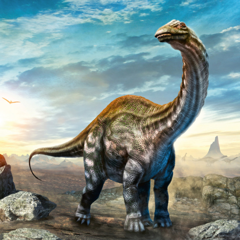 NOTIQUE Poznámkový kalendár Dinosaury 2027, 30 x 30 cm 12