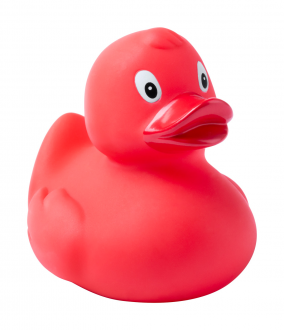 Koldy kačička