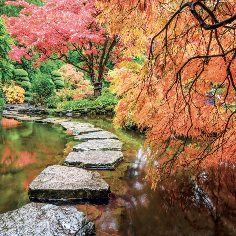 NOTIQUE Grid calendar Gardens 2027, 30 x 30 cm 2