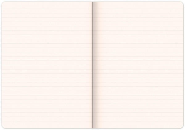 NOTIQUE Notes Zverokruh Blíženci, linajkovaný, 13 x 21 cm 1