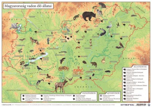 STIEFEL Podložka na stôl, A3, "Mo.vadon élő állatai/Mo állatvilága - Divé zvieratá Maďarska/ Svet 1