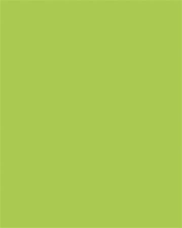 Dekoračný kartón, 2 stranný, A4, 300 g, 50 listov, FOLIA, svetlozelený 2