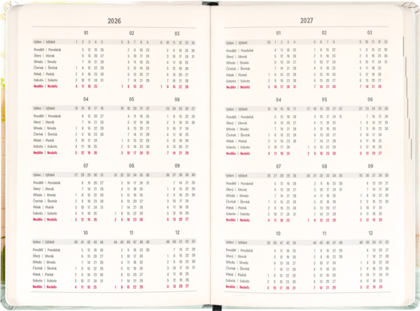 NOTIQUE 18-mesačný diár Petito – Kapybara 2026/2027, 11 x 16 cm 2