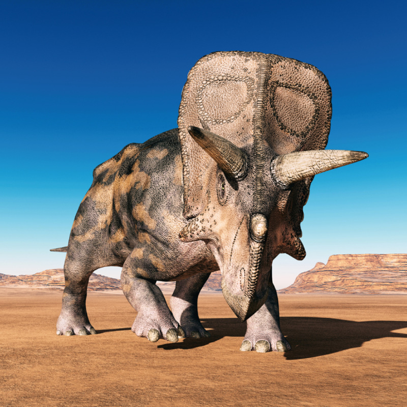 NOTIQUE Poznámkový kalendár Dinosaury 2027, 30 x 30 cm 10