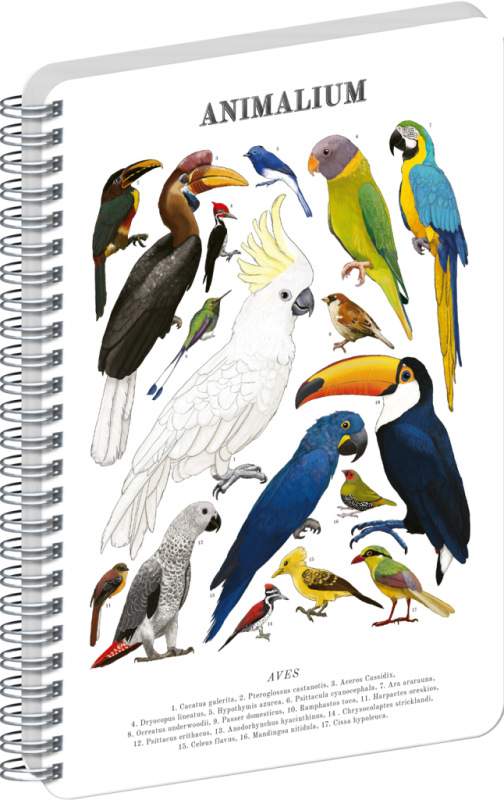 NOTIQUE Špirálový blok Animalium – Vtáky, čistý, A4