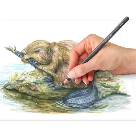 Akvarelové ceruzky, farebné, sada, šesťhranné, STAEDTLER® "tinted 146 10T", 12 rôznych far 4