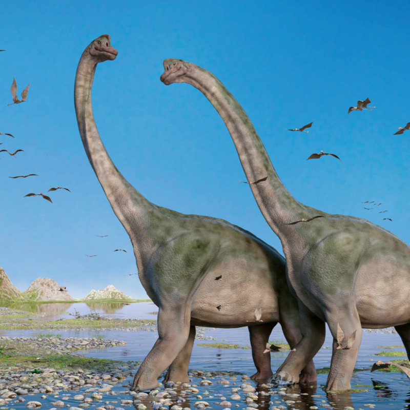 NOTIQUE Poznámkový kalendár Dinosaury 2027, 30 x 30 cm 3