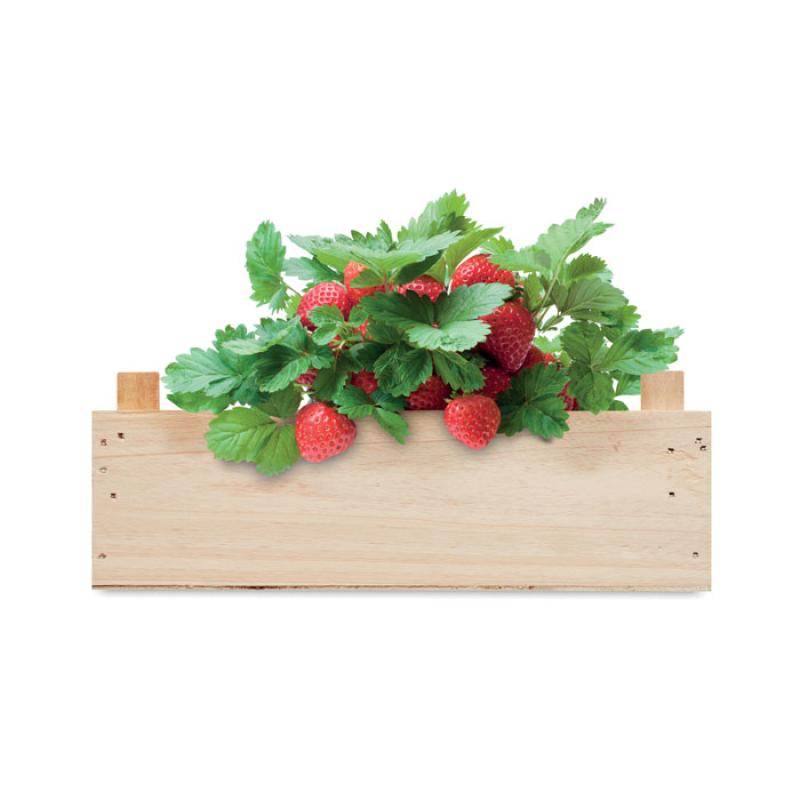 STRAWBERRY 3