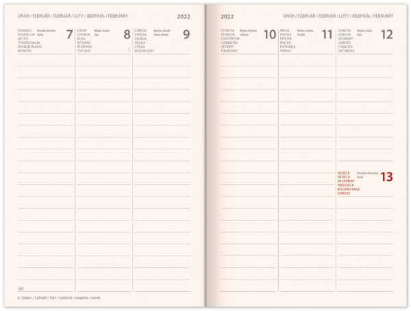 Týždenný magnetický diár NASA 2022, 11 × 16 cm 1
