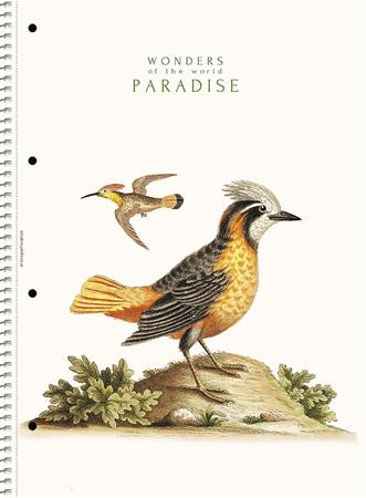 SHKOLYARYK Špirálový zošit, A4, linkovaný, 80 listov, SHOLYARYK „College Block Wonders“, mix 1