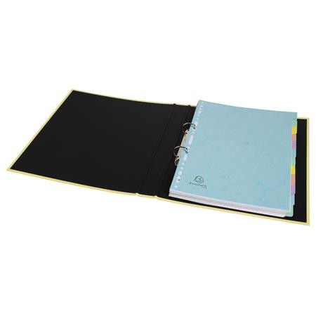 Register, kartónový, A4, 12-dielny, EXACOMPTA "Aquarel" 4