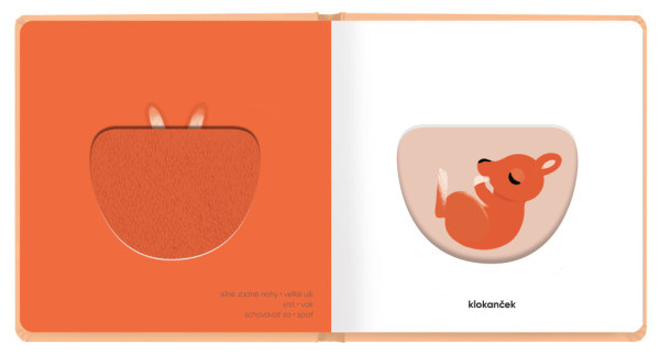 MOJE MLÁĎATKÁ – Klap klap obrázky 2