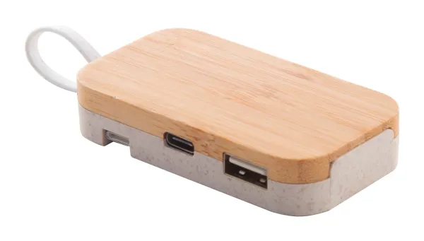 Holbaru USB hub 1