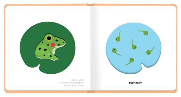 MOJE MLÁĎATKÁ – Klap klap obrázky 1