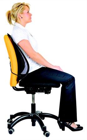 Chrbtová opierka, FELLOWES "Professional Series™ Mesh" 2