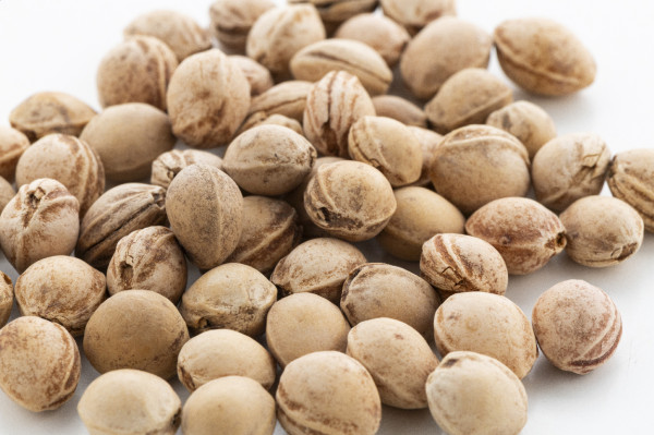 PitHeat Ear vankúšik s čerešňovými kôstkami 3